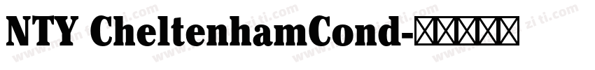 NTY CheltenhamCond字体转换